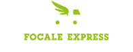 Focal express logo