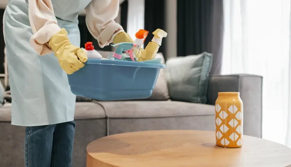 Move-Out Cleaning