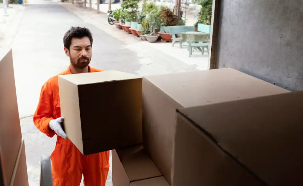 move in move out